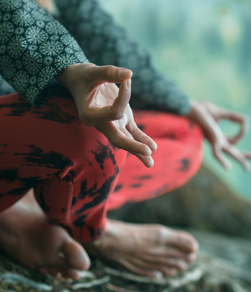 Nutrizionista Dietologa Nutridieta. Seminario residenziale 2-4 giugno - digiuno e meditazione immersi nel silenzio e nella natura. Dietologo Nutrizionista Ancona dottoressa Rosella Sbarbati metodo NUTRIdieta