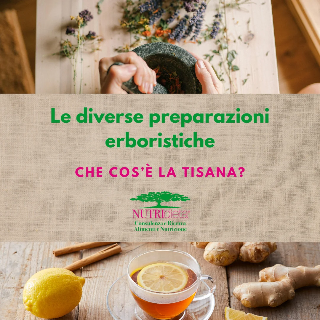 Le diverse preparazioni erboristiche TISANA