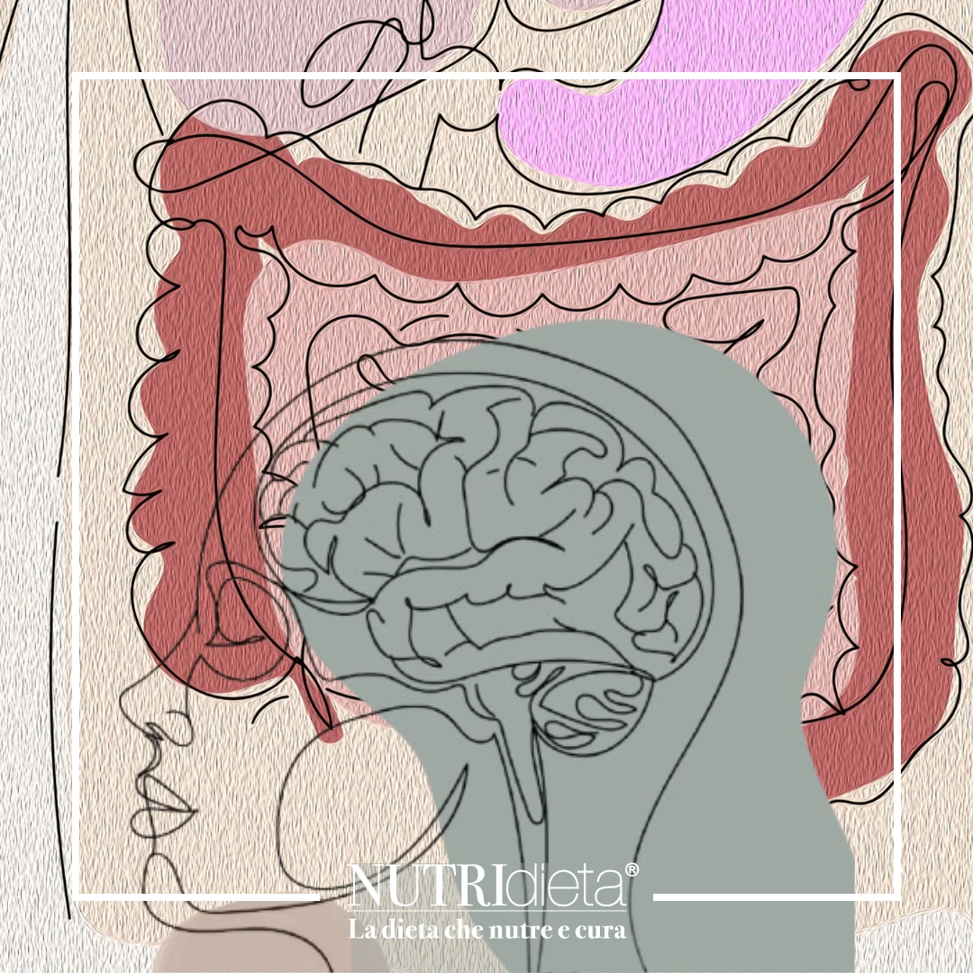 intestino secondo cervello