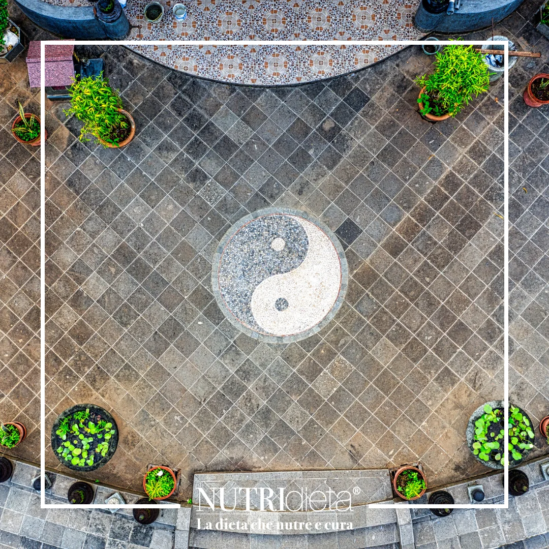 pillole di medicina tradizionale cinese