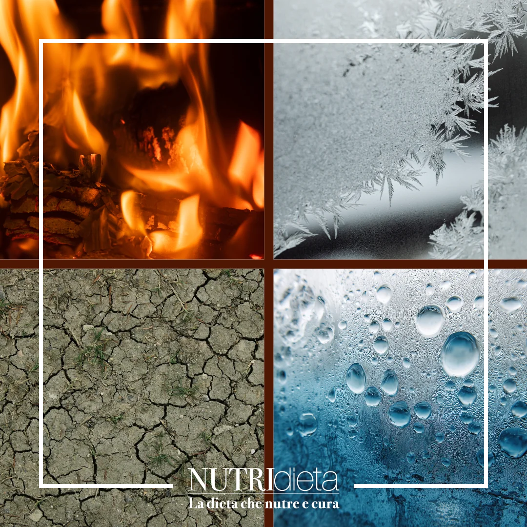 pillole di medicina tradizionale mediterranea