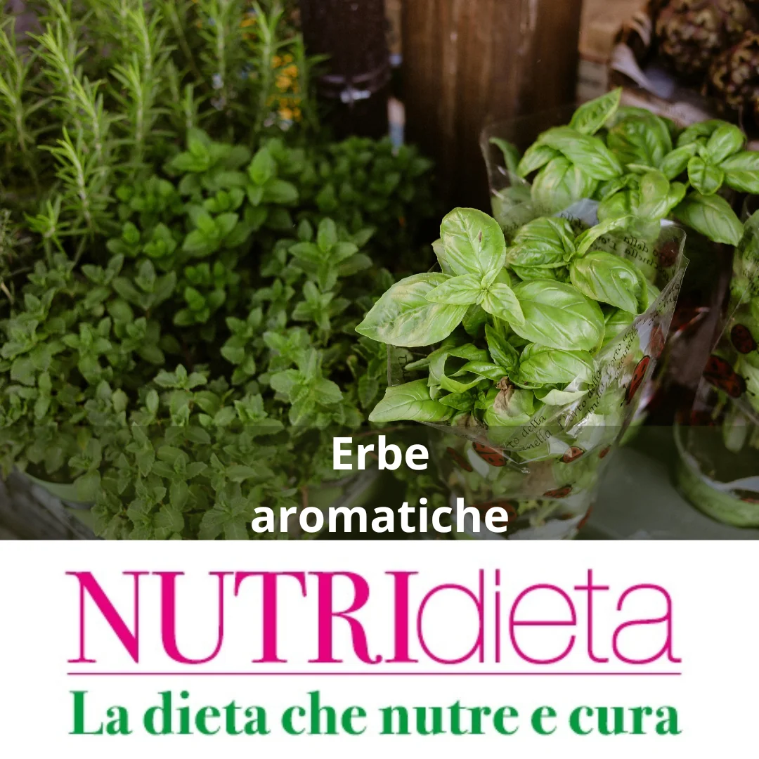 erbe aromatiche